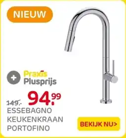 Praxis Essebagno keukenkraan portofino aanbieding
