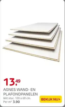 Praxis AGNES WANd EN PLAFONDPANELEN aanbieding