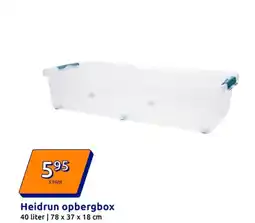 Action Heidrun opbergbox aanbieding