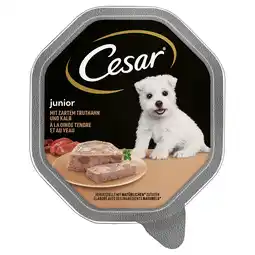Zooplus 28x150g Cesar Junior Kuipjemet kalkoen en kalfsvlees natvoer voor honden aanbieding