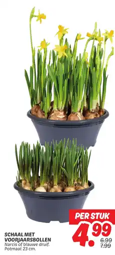Dekamarkt Schaal Met Voorjaarsbollen aanbieding