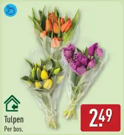 ALDI Tulpen aanbieding
