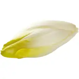 Albert Heijn AH Witlof los aanbieding