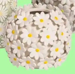 Kwantum Vaas Daisy aanbieding