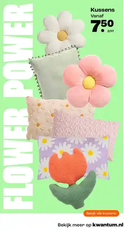Kwantum Kussens aanbieding