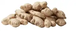 PLUS PLUS Gember los aanbieding
