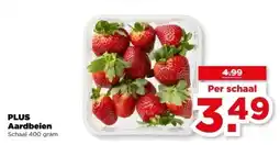 PLUS PLUS Aardbeien aanbieding