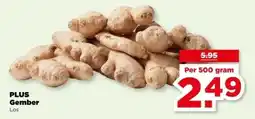 PLUS PLUS Gember aanbieding