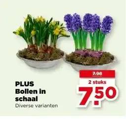 PLUS PLUS Bollen in schaal aanbieding