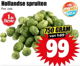 Dirk Hollandse spruiten aanbieding