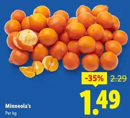 Lidl Minneola's aanbieding