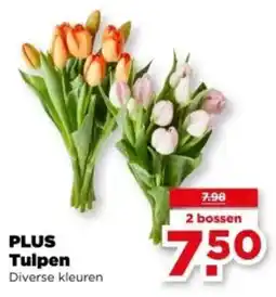PLUS PLUS Tulpen aanbieding
