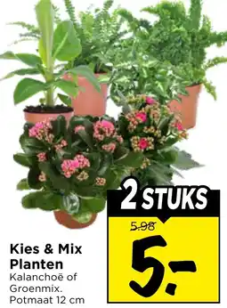 Vomar Voordeelmarkt Kies & Mix Planten aanbieding