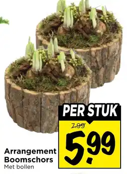 Vomar Voordeelmarkt Arrangement Boomschors aanbieding