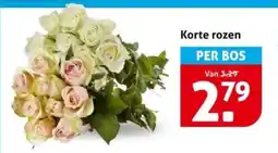 Hoogvliet Korte rozen aanbieding