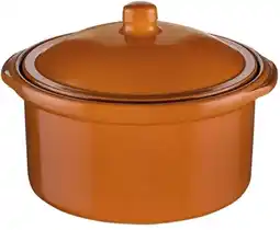 Bol.com Cocotte M/Deksel Ø140cm - Regas 540120 aanbieding