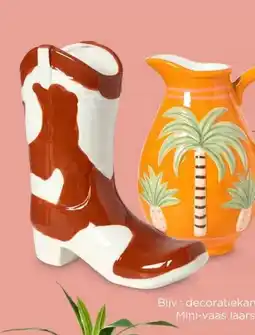 Xenos Alle vazen aanbieding