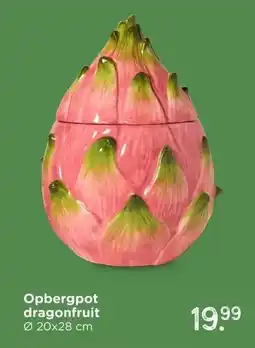 Xenos Opbergpot dragonfruit aanbieding