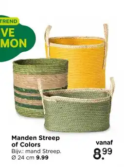 Xenos Manden Streep of Colors aanbieding