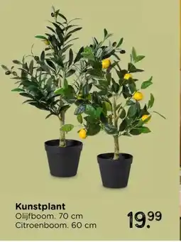 Xenos Kunstplant aanbieding