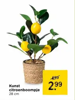 Xenos Kunst citroenboompje aanbieding