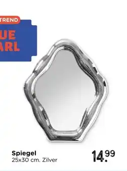 Xenos Spiegel aanbieding