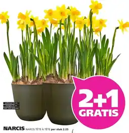Ranzijn NARCIS aanbieding
