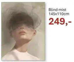 INHOUSE Blind mist aanbieding