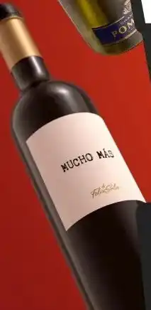 Gall & Gall Mucho Más Tinto 75CL aanbieding