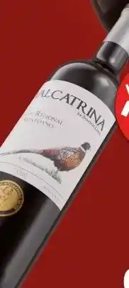 Gall & Gall Valcatrina Tinto 75CL aanbieding