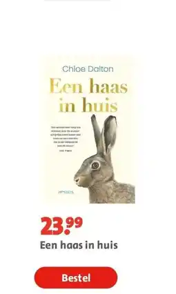 Bruna Een haas in huis aanbieding