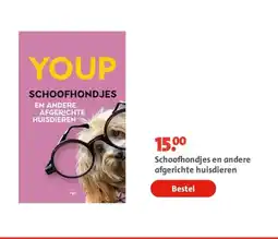 Bruna Schoofhondjes en andere afgerichte huisdieren aanbieding