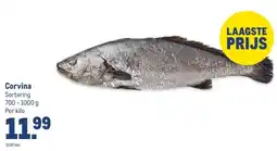 Makro Corvina aanbieding