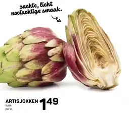 Ekoplaza ARTISJOKKEN aanbieding