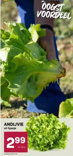 Ekoplaza ANDIJVIE uit Spanje aanbieding
