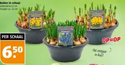 Poiesz Bollen in schaal aanbieding