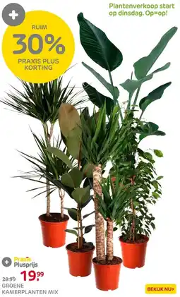 Praxis Groene kamerplanten mix ⌀24cm ↕120cm aanbieding
