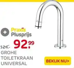 Praxis GROHE Toiletkraan Universal - Chroom - aanbieding