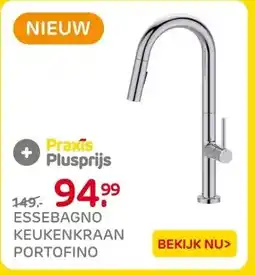 Praxis ESSEBAGNO KEUKENKRAAN PORTOFINO aanbieding