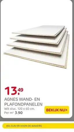 Praxis AGNES WAND- EN PLAFONDPANELEN aanbieding