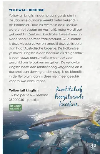 HANOS Yellowtail kingfish 1-2 kilo per stuk - Zeeland aanbieding