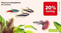 Pets Place Vissen en waterplanten aanbieding