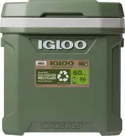 Coolblue Igloo ECOCOOL 60 Roller aanbieding