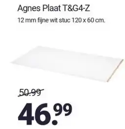 Inter Chalet Agnes Plaat T&G4-Z aanbieding