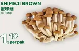 Amazing Oriëntal SHIMEJI BROWN aanbieding