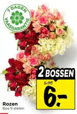 Vomar Voordeelmarkt Rozen Bos aanbieding