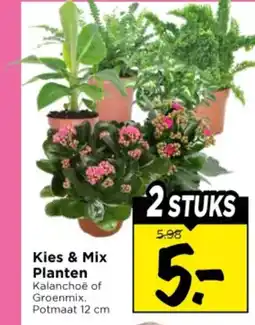 Vomar Voordeelmarkt Kies & Mix Planten aanbieding