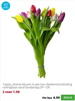 Intratuin Tulpen aanbieding