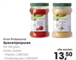 HANOS Knorr Professional Specerijenpuree aanbieding