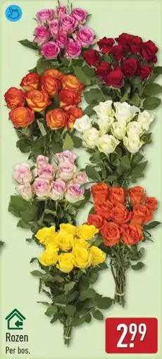 ALDI Rozen aanbieding